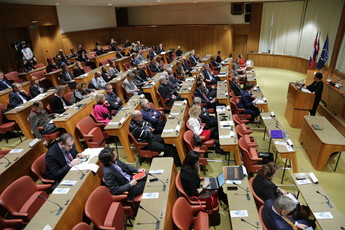 Posvet: Gospodarska diplomacija, primer Slovenije in Nizozemske, 2019<br>(Avtor: Milan Skledar)