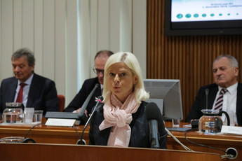 <br>(Avtor: Milan Skledar)