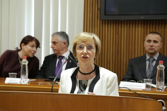 <br>(Avtor: Milan Skledar)