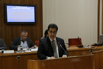 <br>(Avtor: Milan Skledar)