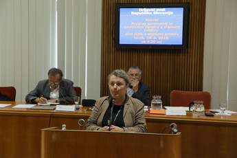 <br>(Avtor: Milan Skledar)