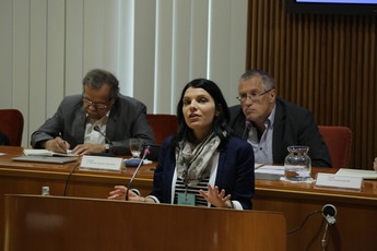 <br>(Avtor: Milan Skledar)