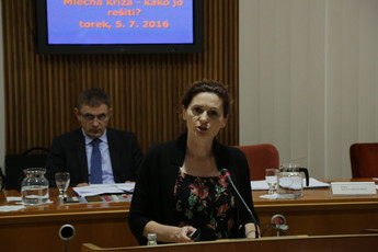<br>(Avtor: Milan Skledar)