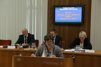 <br>(Avtor: Milan Skledar)