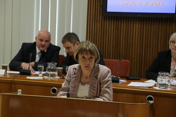 <br>(Avtor: Milan Skledar)