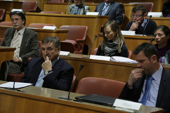 Razvoj gozdno-lesne verige 2016<br>(Avtor: Milan Skledar)