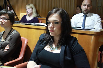 <br>(Avtor: Milan Skledar)