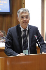 <br>(Avtor: Milan Skledar)