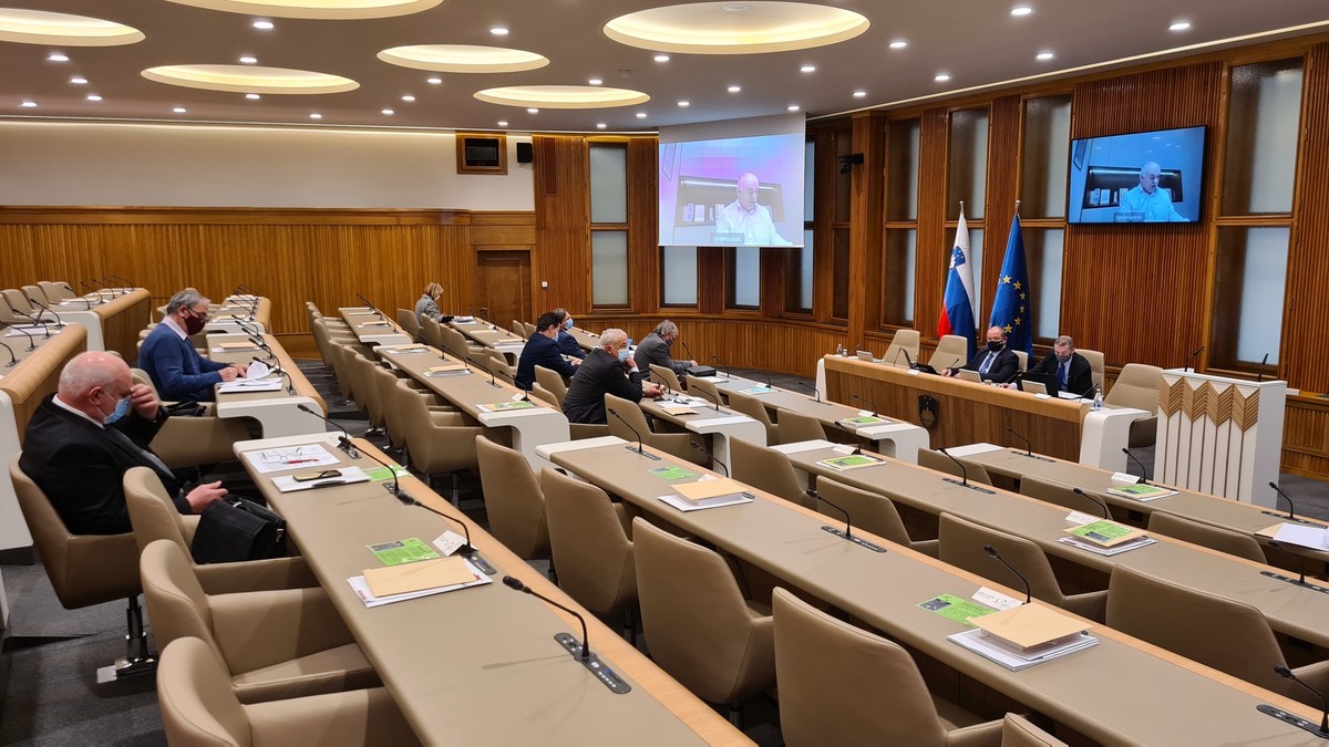 35. redna seja DS RS, 2020<br>(Avtor: Milan Skledar)