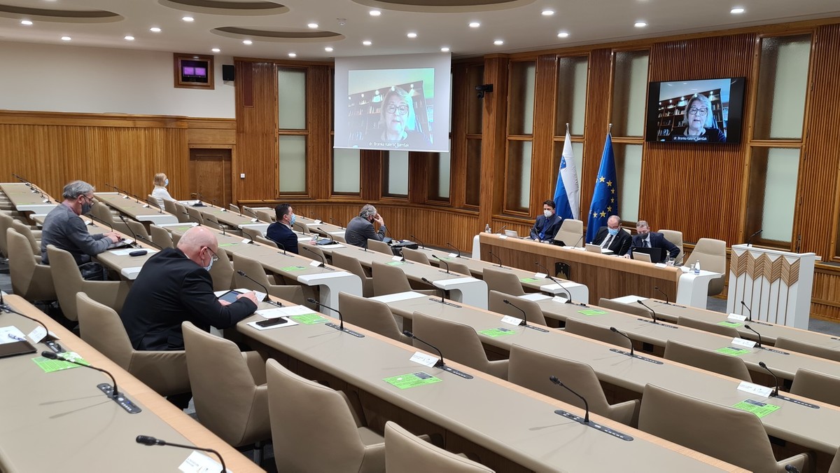 21. izredna seja DS RS <br>(Avtor: Milan Skledar)
