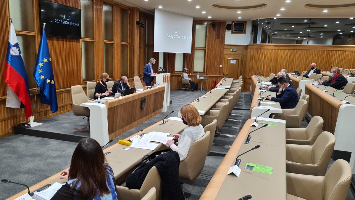 19. izredna seja DS o tonaži 2020<br>(Avtor: Milan Skledar)