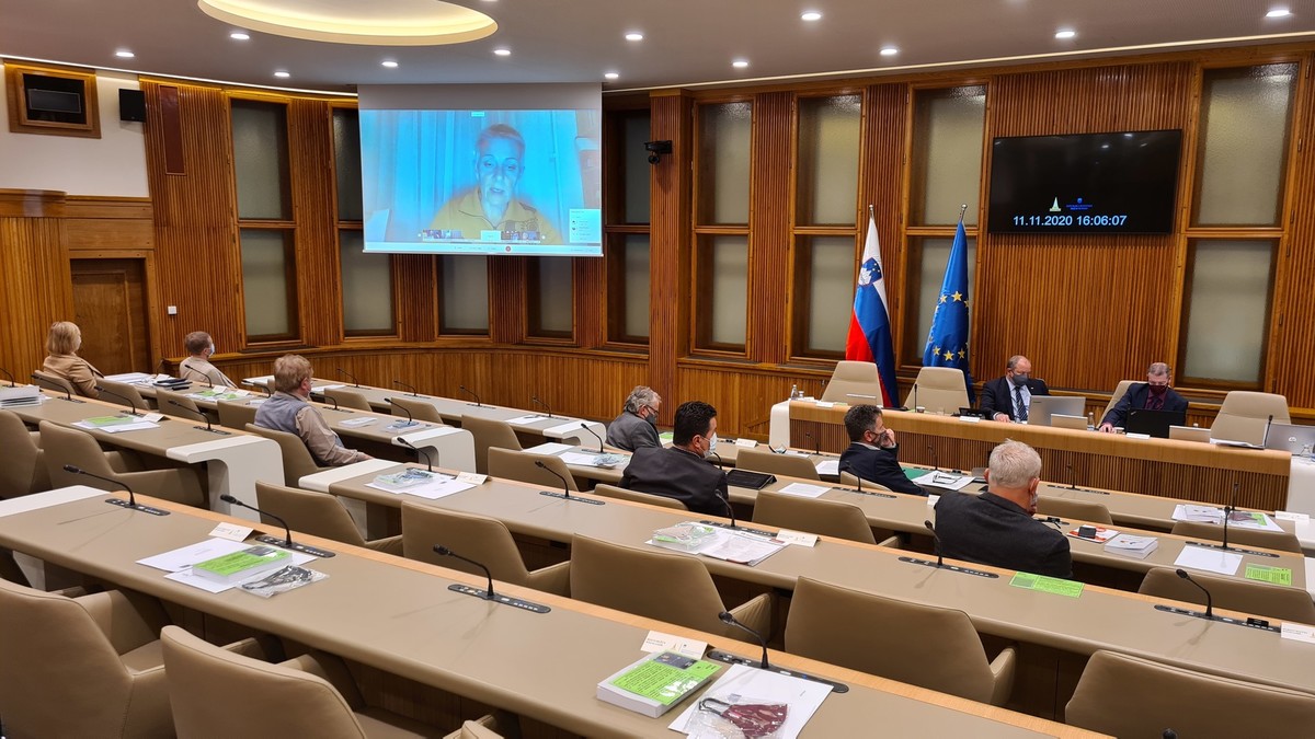 34. redna seja Državnega sveta RS, 2020<br>(Avtor: Milan Skledar)