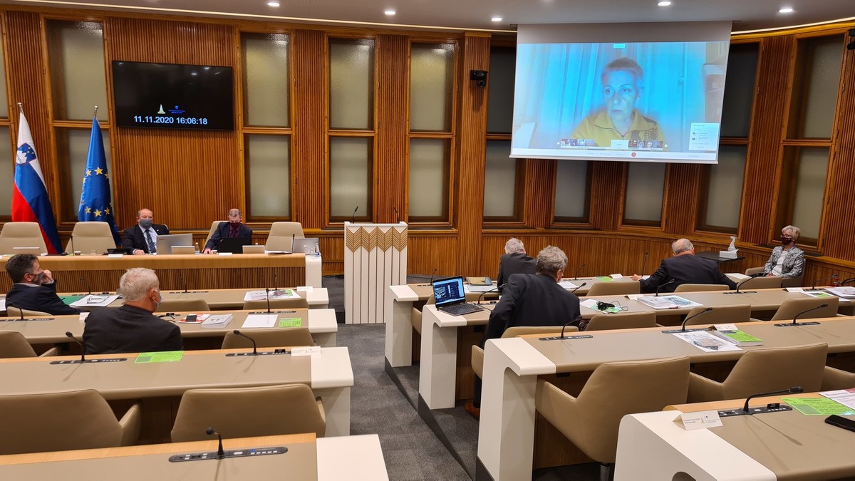 34. redna seja Državnega sveta RS, 2020<br>(Avtor: Milan Skledar)
