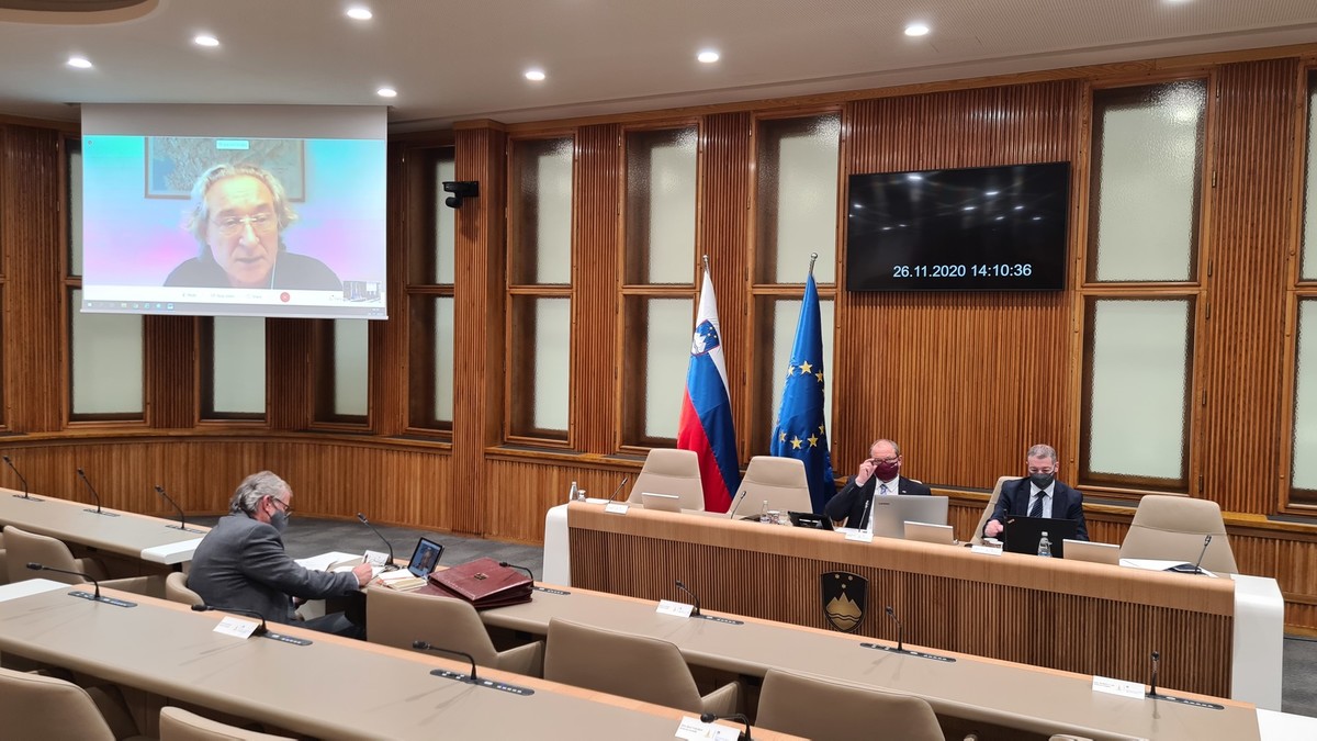 18. izredna seja Državnega sveta na daljavo in v dvorani DS RS<br>(Avtor: Milan Skledar)