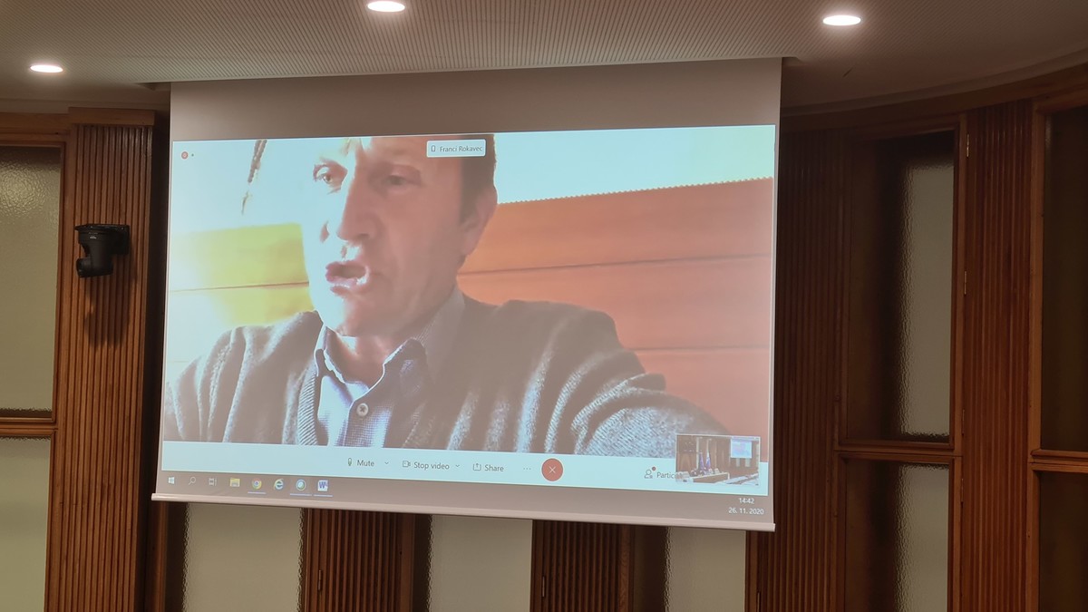 18. izredna seja Državnega sveta na daljavo in v dvorani DS RS<br>(Avtor: Milan Skledar)