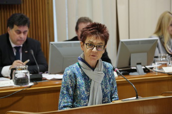 47. redna seja DS<br>(Avtor: Milan Skledar)