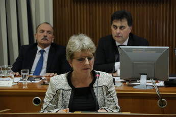 47. redna seja DS<br>(Avtor: Milan Skledar)