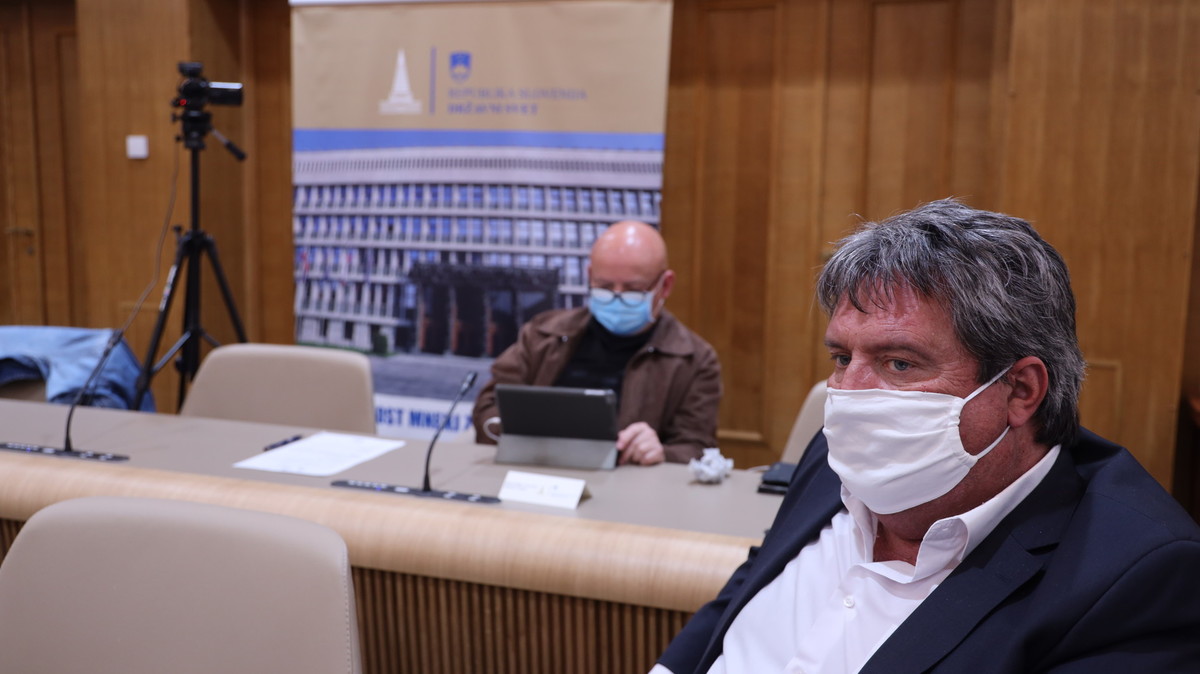 13. izredna seja Državnega sveta, 29. aprila 2020<br>(Avtor: Milan Skledar)