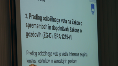 <br>(Avtor: Milan Skledar)