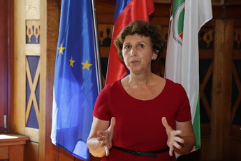 9. redna seja DS<br>(Avtor: Milan Skledar)