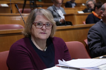 1. izredna seja DS, VI. mandat<br>(Avtor: Milan Skledar)