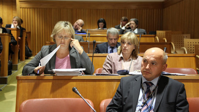 <br>(Avtor: Milan Skledar)