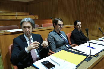 <br>(Avtor: Milan Skledar)
