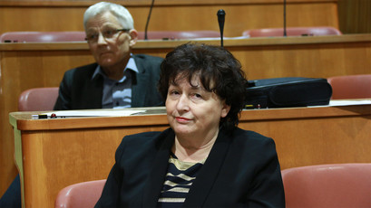 <br>(Avtor: Milan Skledar)