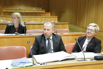 <br>(Avtor: Milan Skledar)