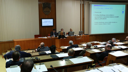 <br>(Avtor: Milan Skledar)