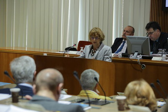 51. redna seja DS<br>(Avtor: Milan Skledar)