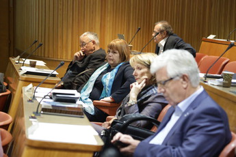 45. seja DS<br>(Avtor: S-TV Skledar)