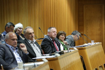 <br>(Avtor: Milan Skledar)