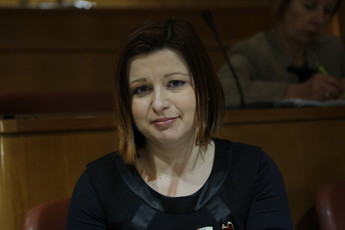 49. redna seja<br>(Avtor: Milan Skledar)
