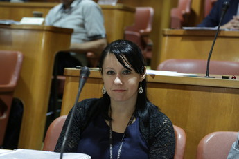 <br>(Avtor: Milan Skledar)