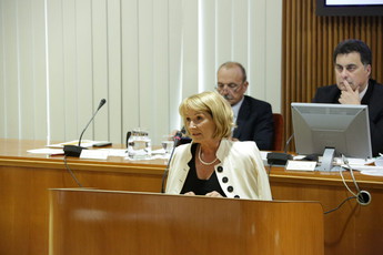 <br>(Avtor: Milan Skledar)