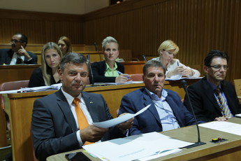 <br>(Avtor: Milan Skledar)