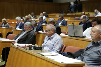 <br>(Avtor: Milan Skledar)