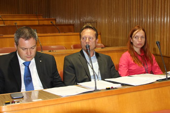 <br>(Avtor: Milan Skledar)