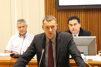 <br>(Avtor: Milan Skledar)