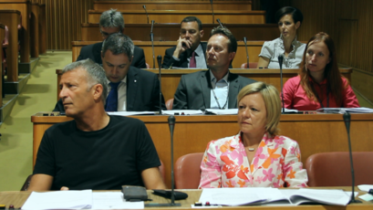 <br>(Avtor: Milan Skledar)