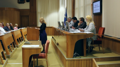 <br>(Avtor: Milan Skledar)