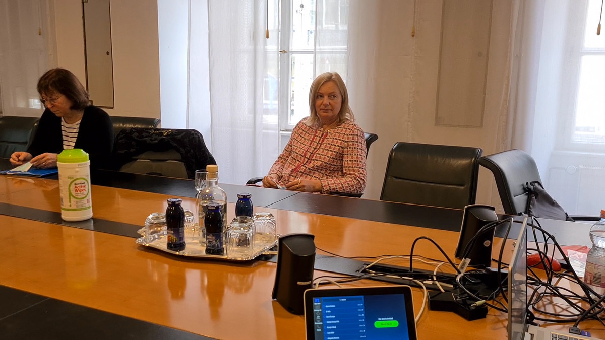 Med odprtjem razstave Obujanje Radeta Mikačića prek povezave Zoom v Mestni hiši v LJ<br>(Avtor: Milan Skledar)