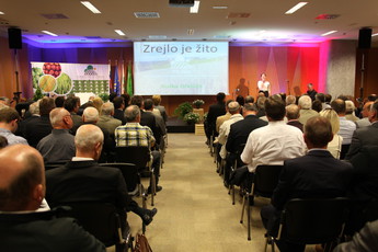 <br>(Avtor: Milan Skledar)