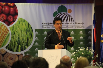 <br>(Avtor: Milan Skledar)