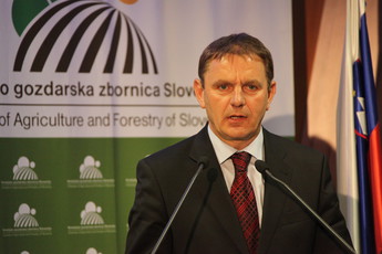 <br>(Avtor: Milan Skledar)